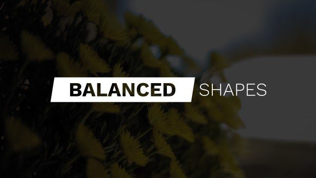 Business Oriented Free Premiere Pro Title Presets with Modern Text Effects