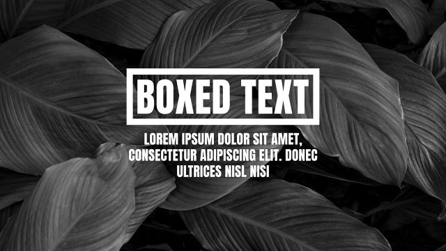 Outline Box Heading Animation Growing from a Bar After Effects Template