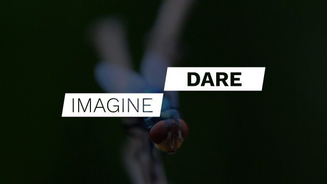 Free Elegant Premiere Pro Wedding Titles and Text Animation Template