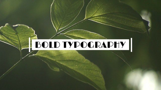 Bold Animated Titles Free Template for After Effects with Modern Text Effects