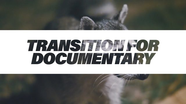 Animated Cinematic Italic Two Line Heading Documentary Cutout Transitions Video Template for After Effects