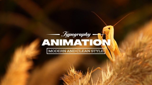 Cursive Topline Title Animation with Heavy Capitals and Plate After Effects Template