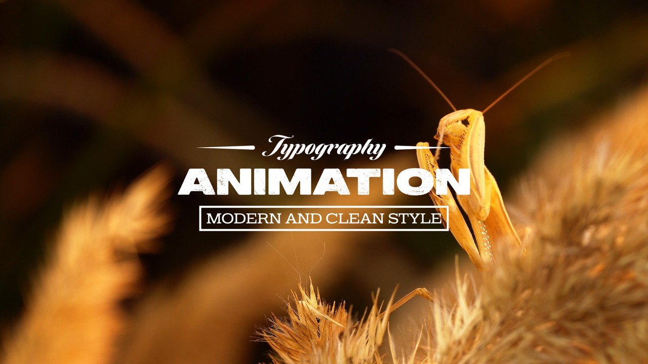 Cursive Topline Title Animation with Heavy Capitals and Plate After Effects Template