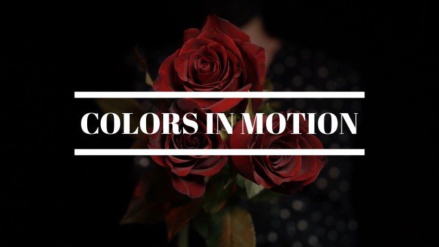 Colors in Motion Free Premiere Pro Text Animation Template for Vibrant Titles