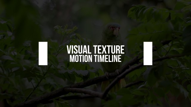 Thick Side Bar Text Animation for Company Profiles in After Effects – Free Download