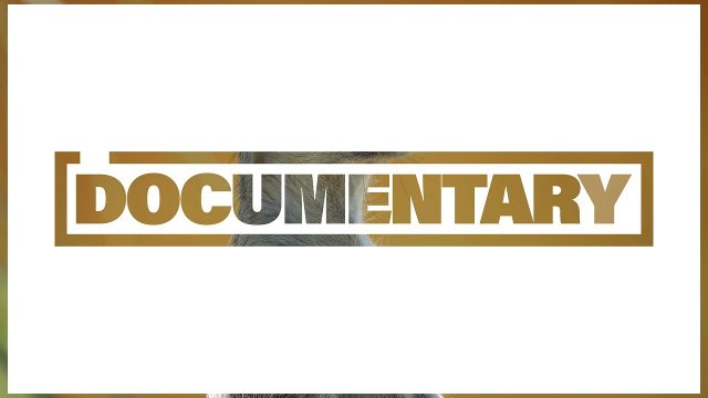 Wildlife Origins Documentary Title Slideshow Premiere Pro MOGRT