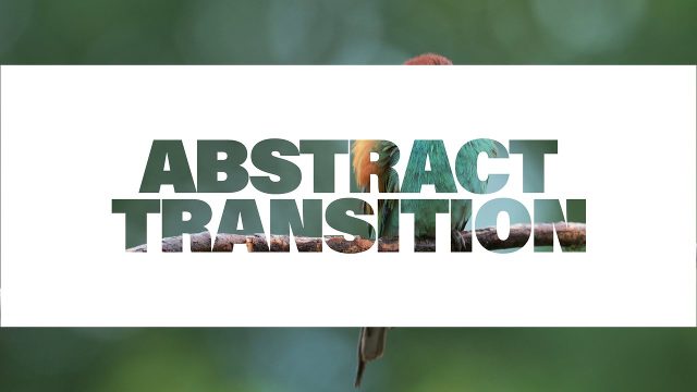 Animated Scene Transition featuring Vertical Bar Cut Out Letters Template for Adobe Premiere Pro
