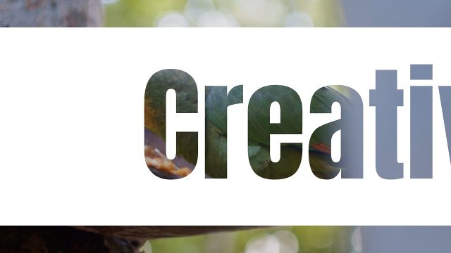 White Label Cutouts Title Transitions with Giant Letter Wipe for Promo Videos After Effects Templates