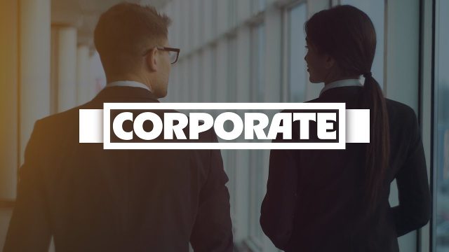 Business Box Plate Headlines Animation Premiere Pro Video Template