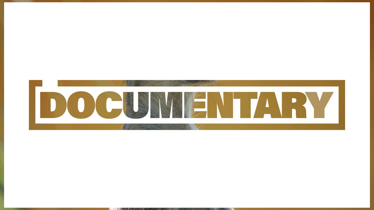 Nature and Culture Documentary Opener Slideshow After Effects Template