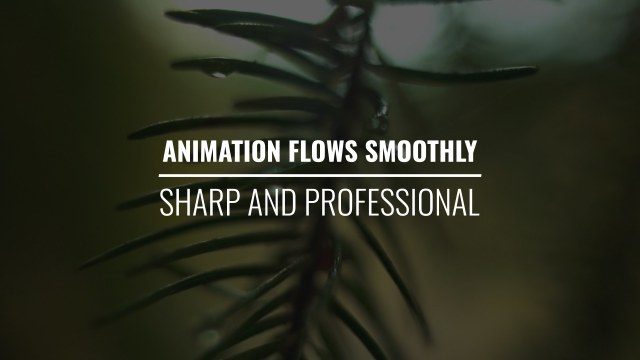 Condensed Font Headline with Divider Free Premiere Pro Text Template