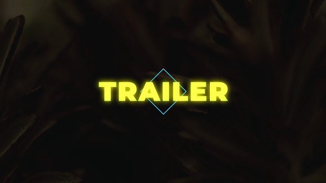 Extreme Glitch Intro for Streamers with Outline Text 4K UHD MOGRT