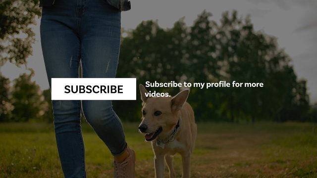YouTube Subscribe Button Lower Third with Side Message for Podcasts After Effects Template Pack