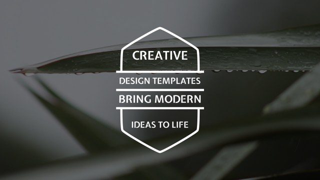 Elegant Motion Typography Free Template for After Effects with Stylish Text Effects