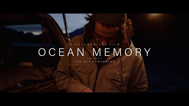 Documentary Movie Title Animation with Subtitle Line Premiere Pro MOGRT