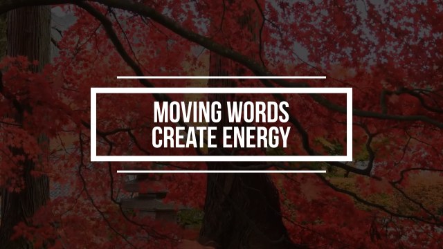 Minimal Ruled Outline Typography for Corporate Presentations – Free After Effects