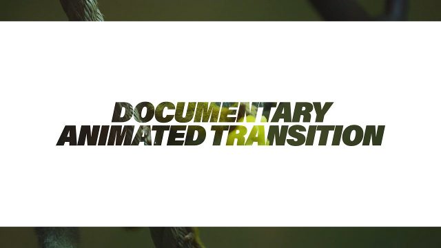 Animated Film Transition featuring Bold Heading on White Box for Adobe After Effects