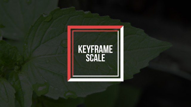 Accent Double Square Title Animation – Free After Effects Template for Short Films