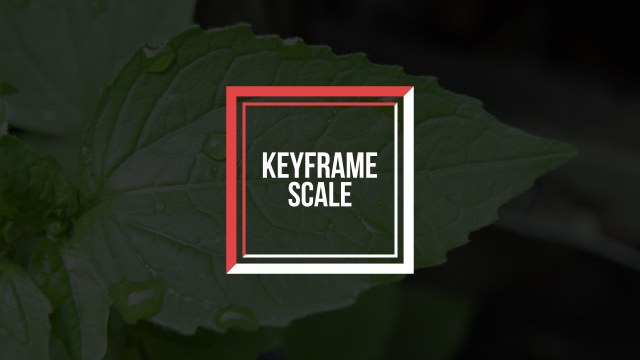 Accent Double Square Title Animation – Free After Effects Template for Short Films