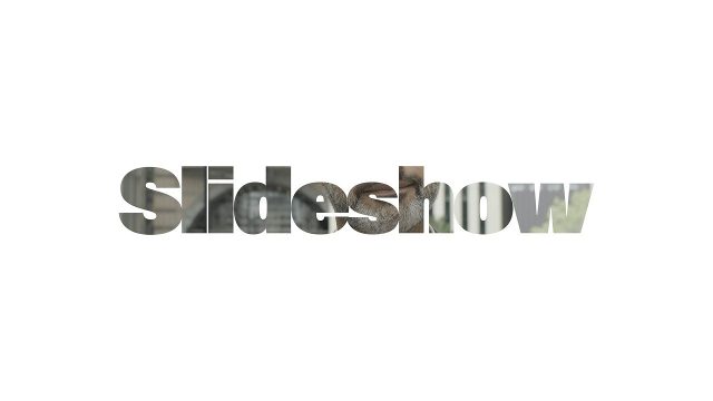 Minimal Slideshow with Gray Bars and Growing Frames After Effects Template