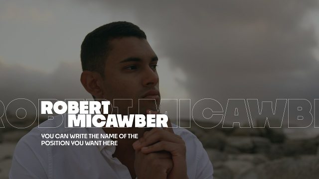 Stylish Lower Thirds Template