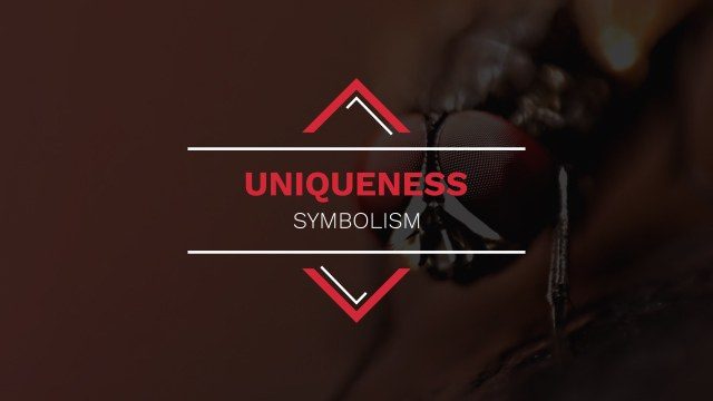 Free After Effects Red Chevron Diamond Frame Titles Template