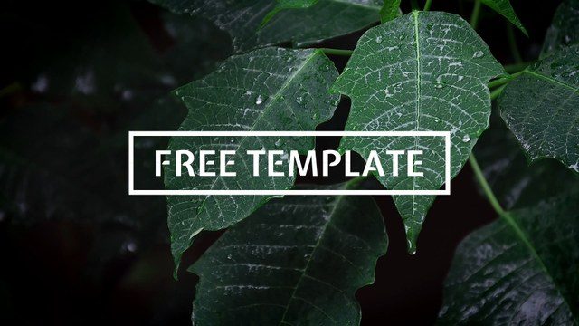 Minimal Animated Titles Free Template for After Effects with Clean Typography