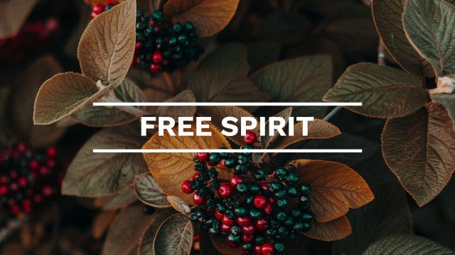 Minimalist Titles Free After Effects Template with Clean Typography Animation