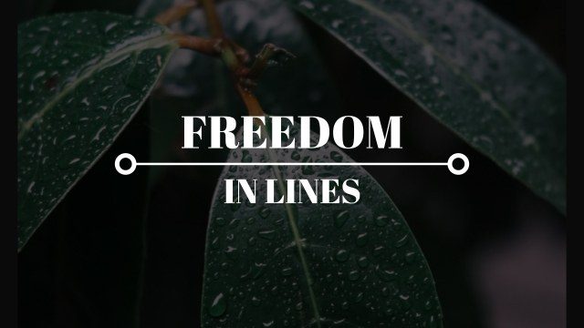 Clean Professional Animated Titles Free Premiere Pro Text Animation Template