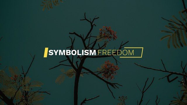 Minimalism Text Animations Free After Effects Template with Clean Design