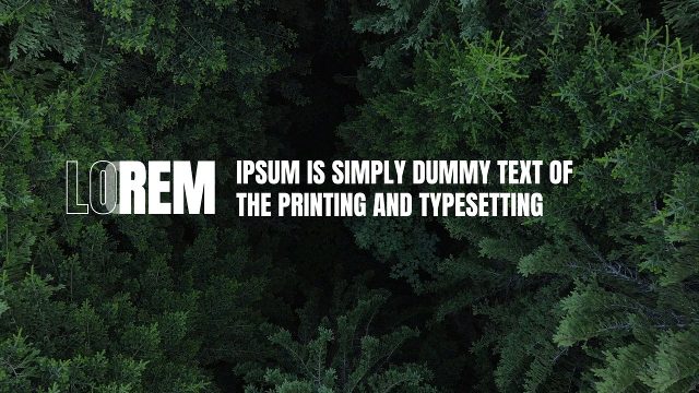 Half Outline Word Sliding to Inline Paragraph Corporate Text After Effects Template