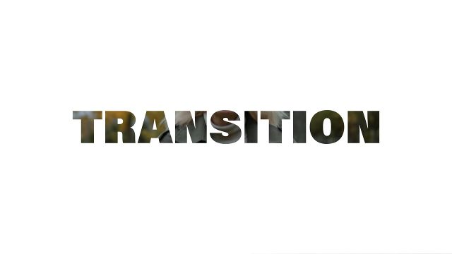 Angled Hairline Cut Seasonal Transition Premiere Pro MOGRT