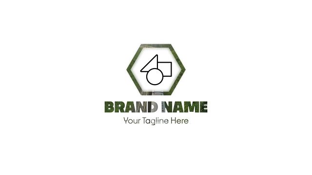 Animated Olive Hexagon Logo Reveals with Brand Name Premiere Pro Video Template
