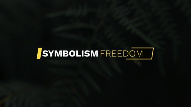 Free Creative Premiere Pro Text Animation Titles for Instagram and Reels