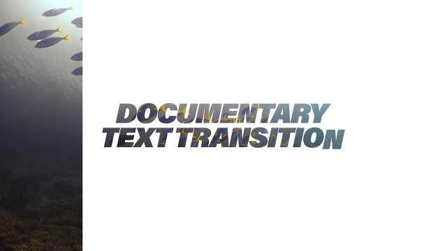 Animated Italic Stacked Text Documentary Transition for Adobe After Effects