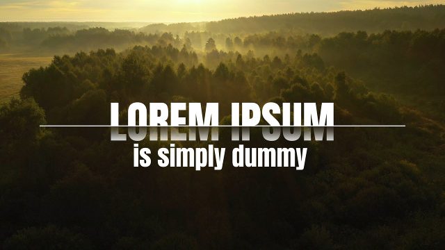 Horizontal Line Cut Caps Word Corporate Title with Lowercase Subtitle After Effects Template
