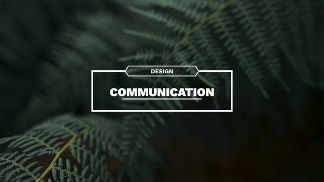 Free 4K Modern Text Reveal After Effects Template for Creative Video Projects