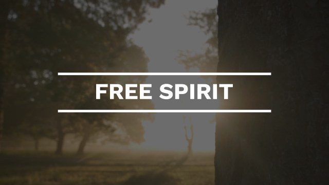 Horizontal Rule Framed Title Free Premiere Pro Clean Text Animation Template