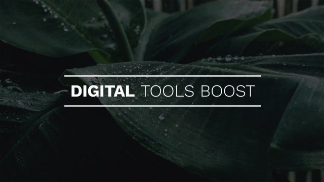 Vibrant Free Premiere Pro Animated Typography Titles Pack