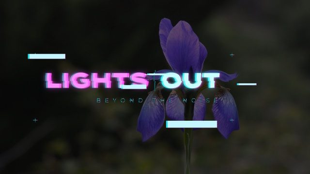 Minimal Glitch Titles and RGB Split Typography for Video Blogs Ultra HD After Effects Template