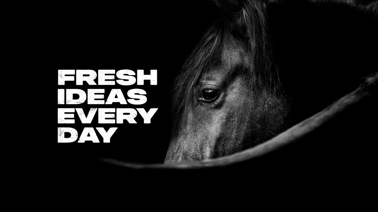 Bold Motto Text Animation with Word by Word Reveal After Effects Template