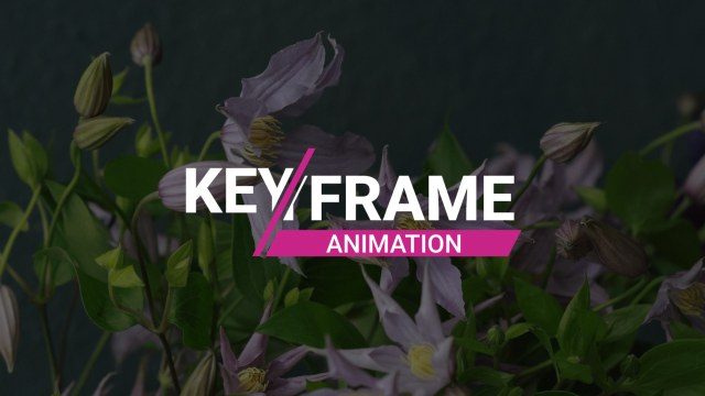 Keyframe Text Animation Free After Effects Template with Manual Motion Control