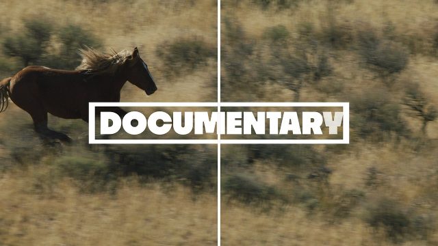 Animated Diagonal Panel Heading Clean Documentary Transition Video Template for After Effects