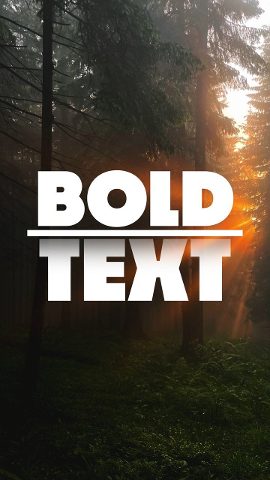 Vertical Bold Duo Word Text Animation with Divider Premiere Pro MOGRT