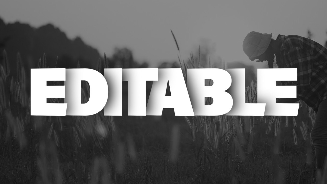 Shadow Words Text Animation Sequence After Effects Template