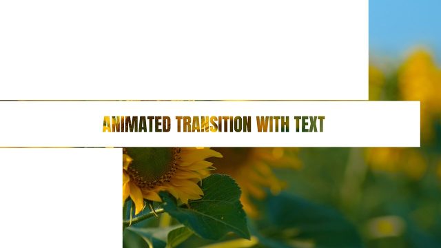 White Bar Strip Cutouts Title Transitions over Footage for Corporate Videos After Effects Project