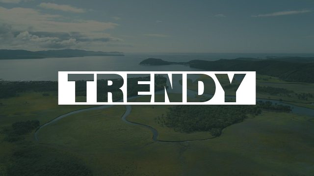 Inverted Bold Caps Animated Title featuring Block Wipe Label After Effects Template
