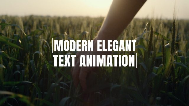 Stylish Motion Typography Template for After Effects