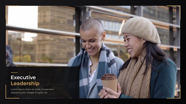 Elegant Business Presentation Slides in a Framed Layout After Effects Template