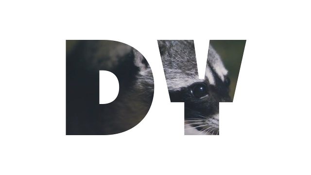 Animated Documentary Text Transitions featuring Giant Initial Letters and Bold Word for After Effects